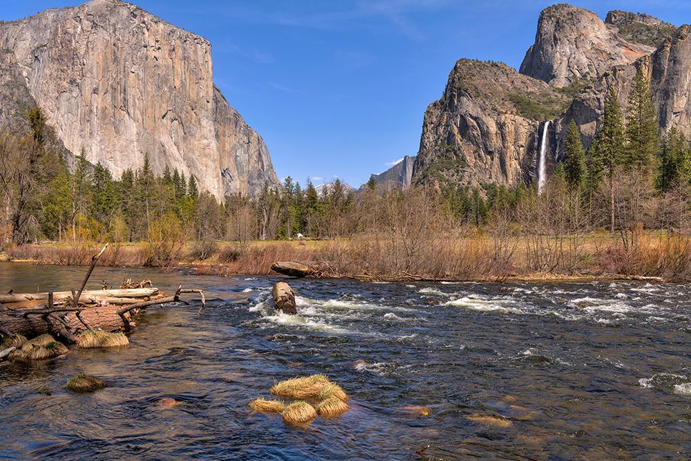 Merced River at Yosemite Valley - A Spring day view of Merced River running freely in Yosemite Valley, with El Capitan and Bridalveil Falls towering at shore. Yosemite National Park, California, USA.